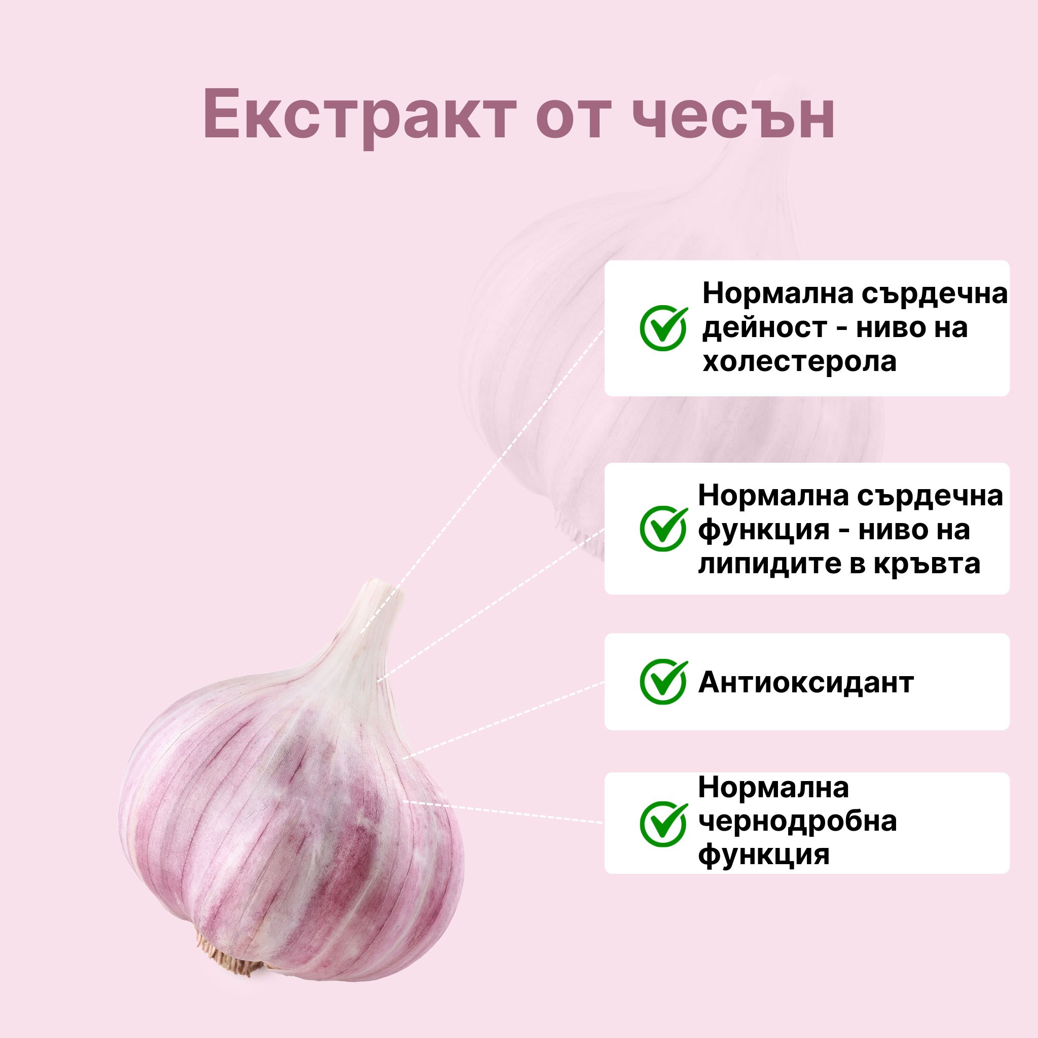 (Bulharština) (3)